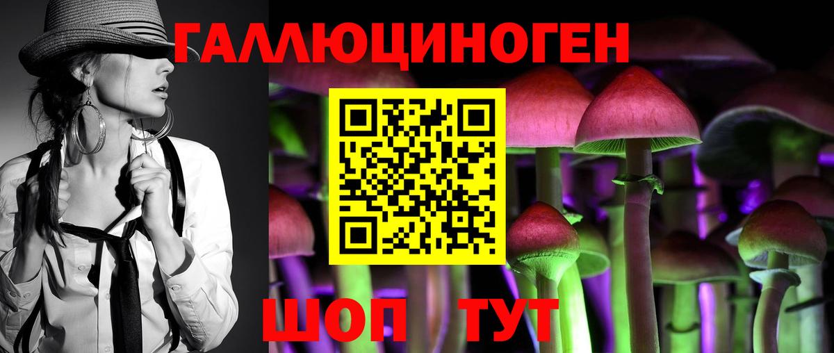 Псилоцибиновые грибы GOLDEN TEACHER Сертолово